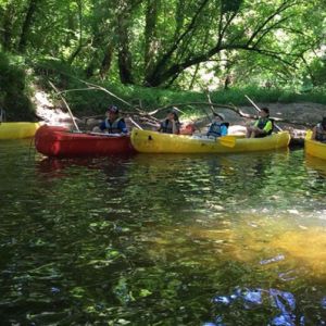 Navigation sous les arbres