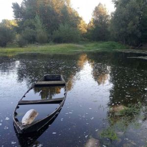 Halte sur la rive