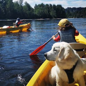 Canoë avec son chien