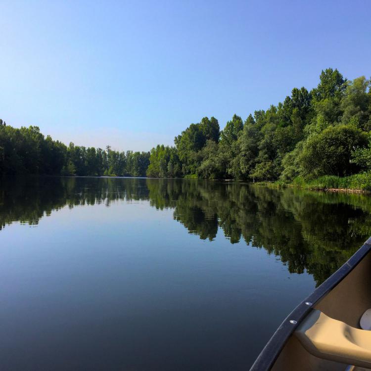 Calme de la rivière