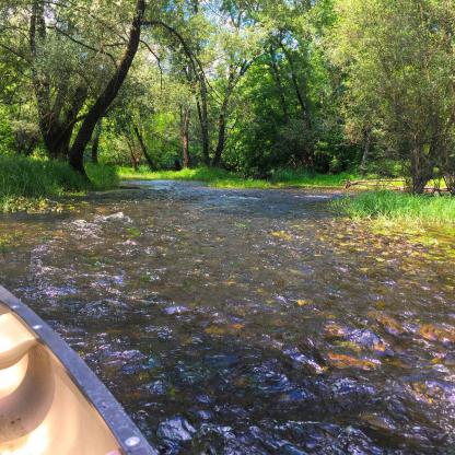 En canoë sur la rivière