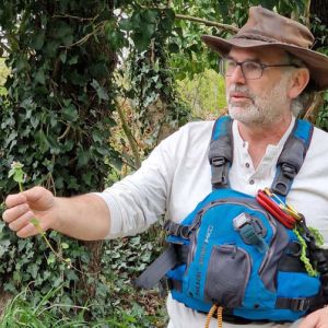 Observation naturaliste