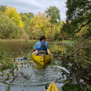 Balade en canoë jaune