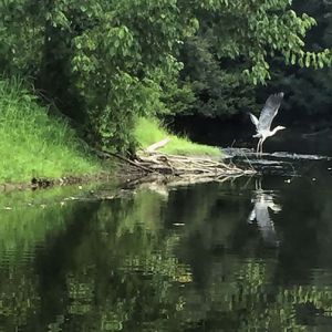 Nature préservée