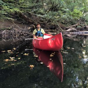 Canoë sous la voûte verte